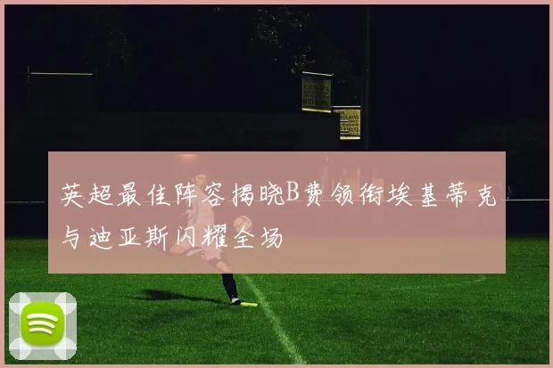 英超最佳阵容揭晓B费领衔埃基蒂克与迪亚斯闪耀全场
