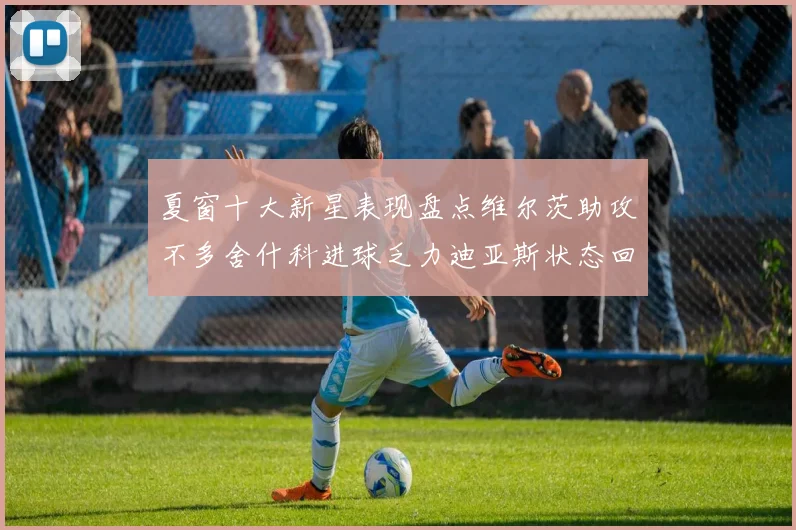 夏窗十大新星表现盘点维尔茨助攻不多舍什科进球乏力迪亚斯状态回暖
